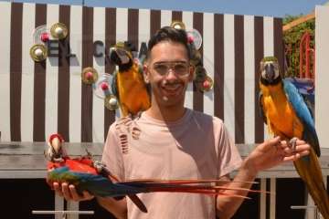 Espectáculo de aves exóticas de Paco Pluma en El Caracol (Foto Francisco Javier Santana)
